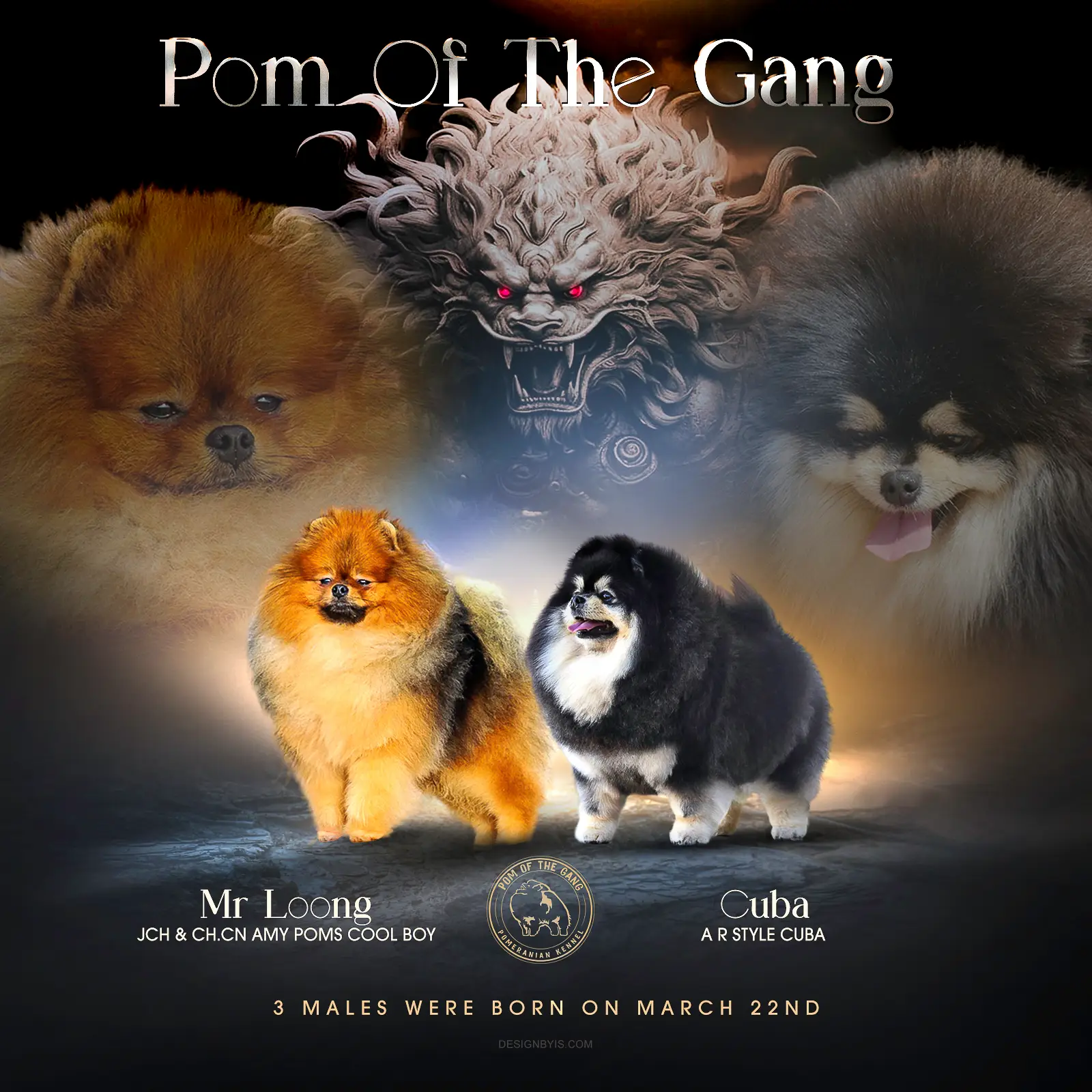 You are currently viewing Les Chiots de Mr Loong x Cuba